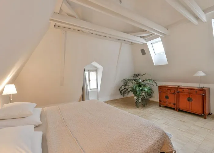 Eclectic Loft With Terrace 公寓